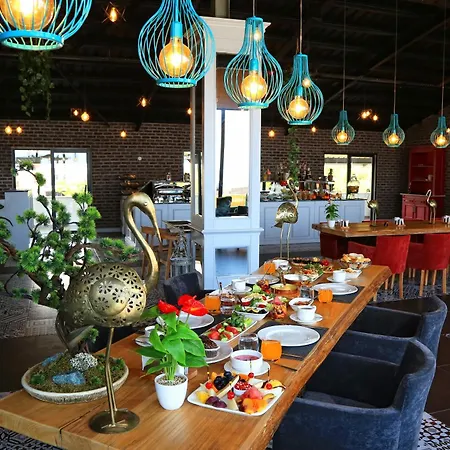 ホテル Yildiz Life 4*