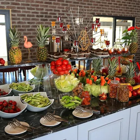 فندق يلدز لايف